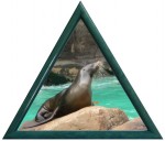 triangle bleu turquoise